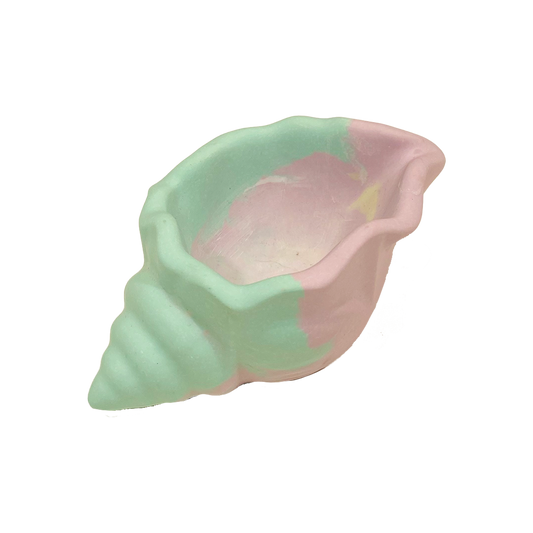 Shell Green Pink