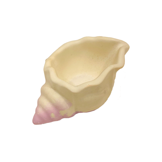 Shell Clear Pink
